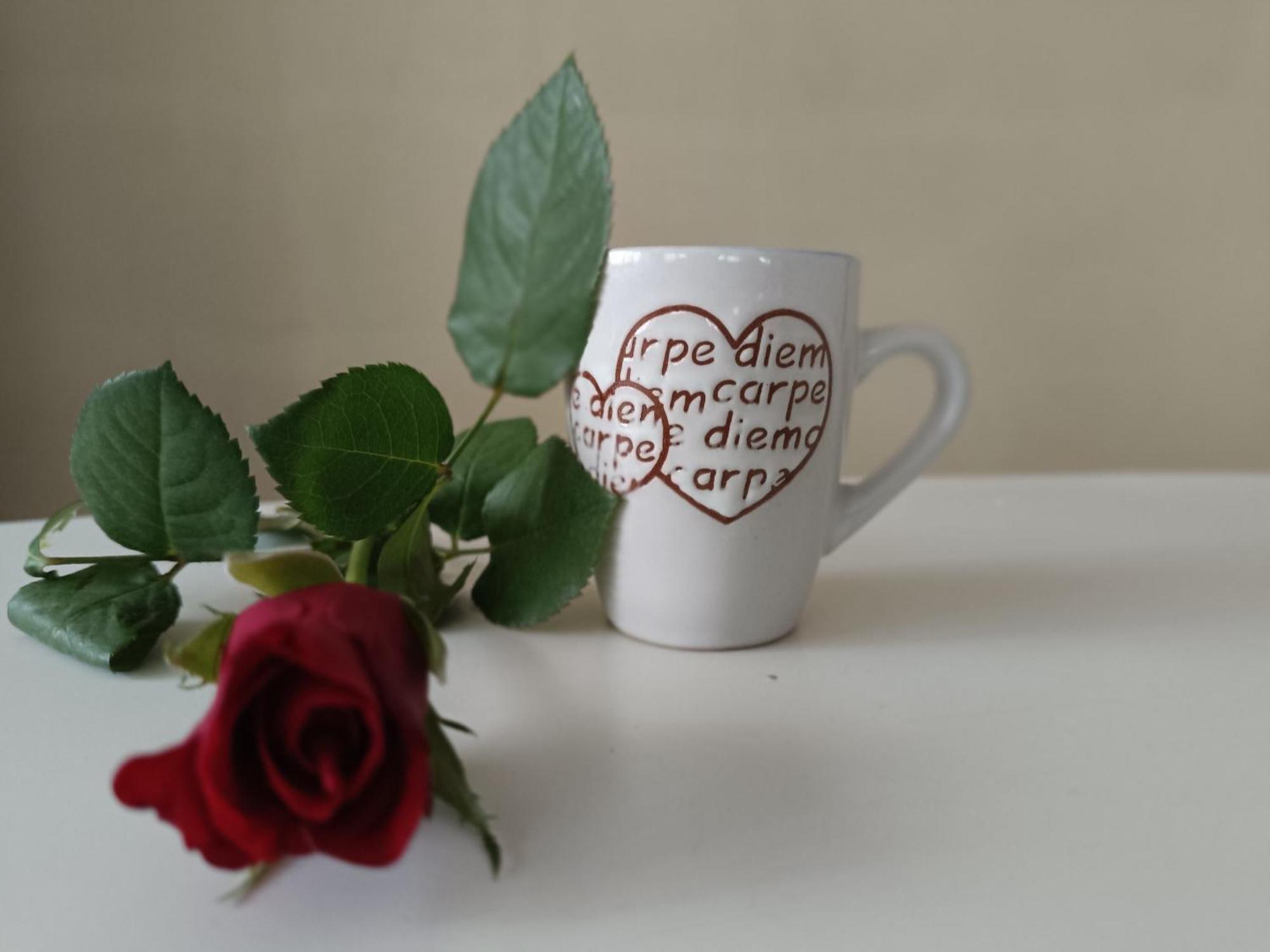Saisir Le Jour Apartment Gent Ngoại thất bức ảnh